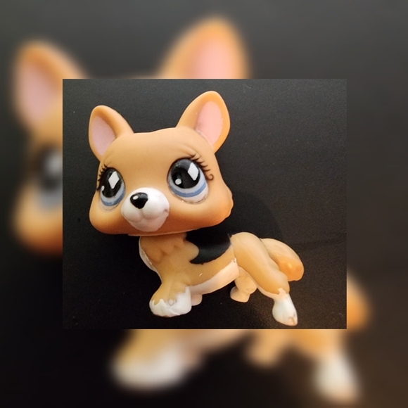 Authentic Littlest Pet Shop LPS #639 Welsh Corgi Puppy Dog Diamond Eyes 2007 - Picture 7 of 9